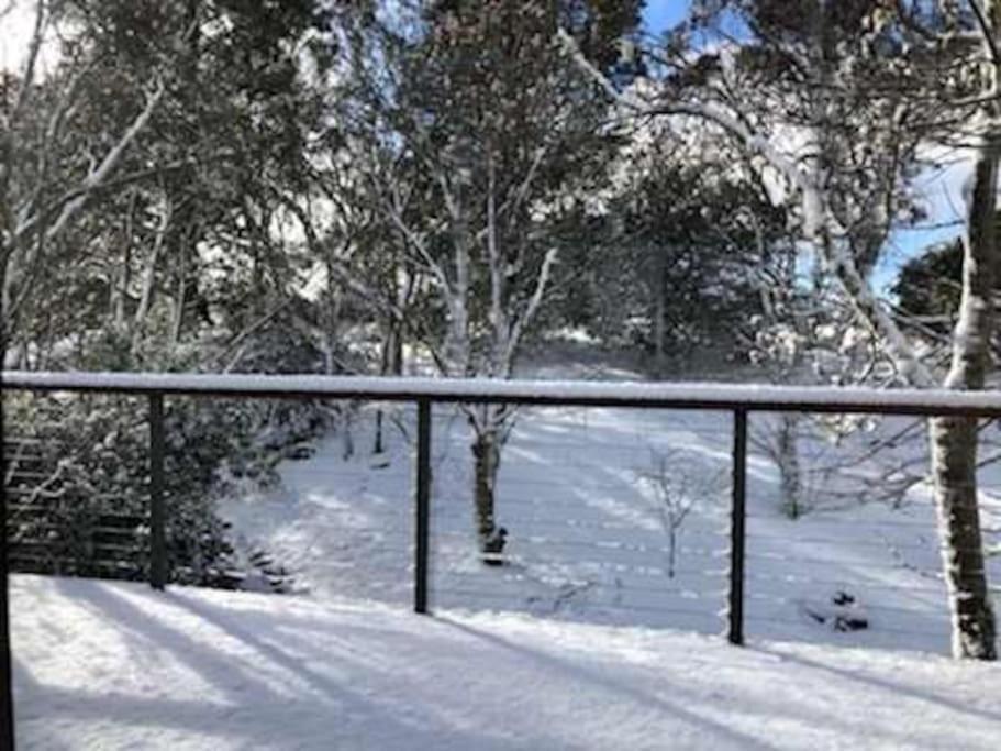 Narrow Neck Views - Peaceful 4 Bedroom Home With Stunning Views! Katoomba Exterior photo
